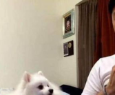 娱乐吃瓜酱虐猫博主小说,娱乐吃瓜酱的悬疑小说揭秘