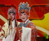戏曲大全,千年传承与多元魅力