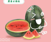 吃瓜娱乐封面怎么做,揭秘明星幕后故事与热点事件