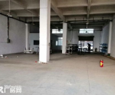 板芙租房信息,热门房源一览，轻松找到理想家园