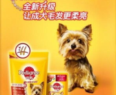 宝路狗粮官网,守护宠物健康，引领宠物食品新潮流